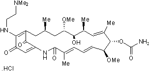 Water-soluble Hsp90 inhibitor