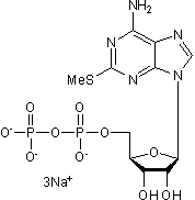 Potent agonist at P2Y1, P2Y12 and P2Y13