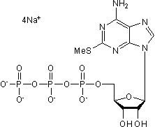 Non-selective P2 agonist