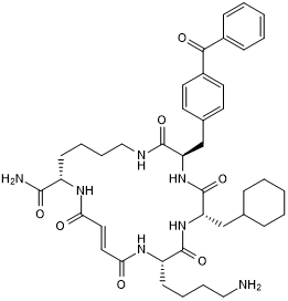 Insulin degrading enzyme (IDE) inhibitor
