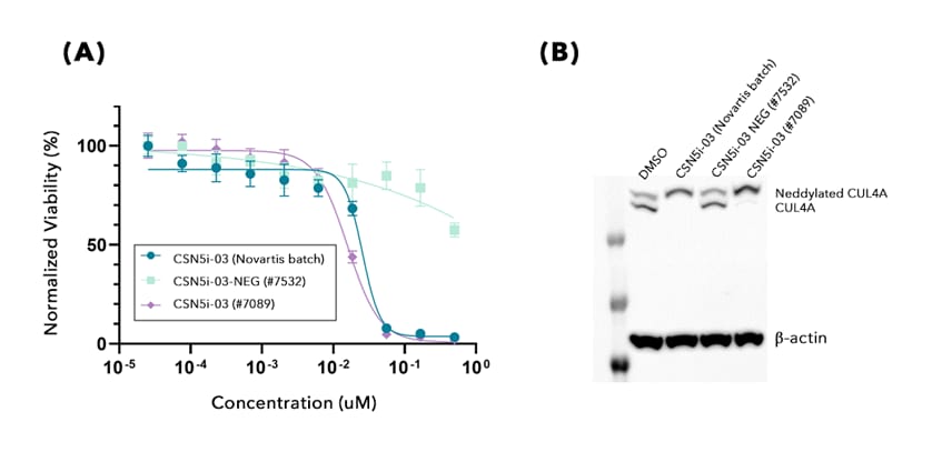 Novartis vs Bio-Techne batch comparison for CSN5i-3