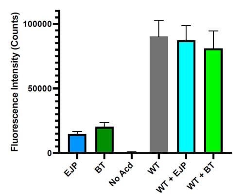 Application for Acridonylalanine