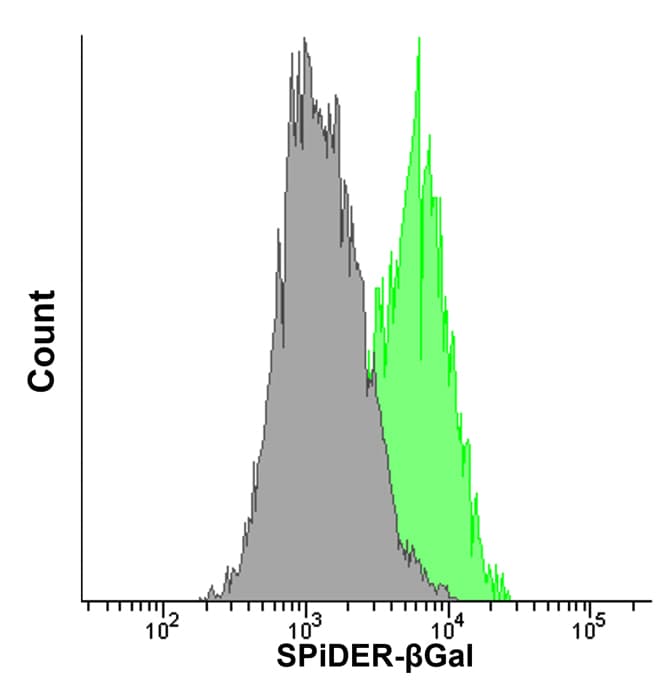 Flow cytometric detection of senescence-associated  beta -galactosidase activity in WI-38 cells using SPiDER-beta Gal.