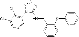 Potent P2X7 antagonist