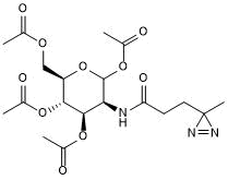 Photo-crosslinking probe for studying glycoproteins and glycolipids