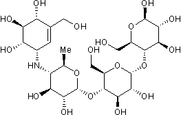 Glucosidase α inhibitor (intestinal)