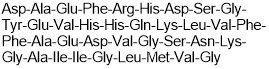 Amyloid β-protein fragment