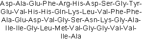 Predominant amyloid β-protein fragment