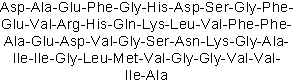 Predominant amyloid β-protein fragment
