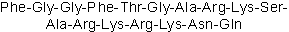 Highly potent and selective NOP agonist