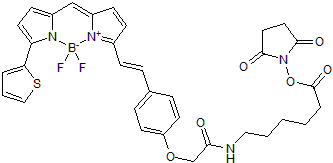 Red BDY (BODIPY® or boron-dipyrromethene) fluorescent dye for the labeling of amines; supplied as NHS ester