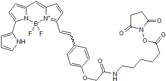Far-red BDY (BODIPY® or boron-dipyrromethene) fluorescent dye for the labeling of amines; supplied as NHS ester