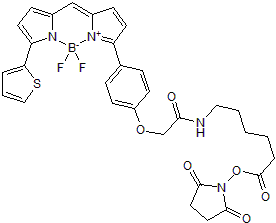 Orange/red BDY (BODIPY® or boron-dipyrromethene) fluorescent dye for the labeling of amines; supplied as NHS ester