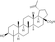Antitumor and anti-HIV agent; activates NF-κB. Also TGR5 agonist