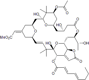 Potent protein kinase C activator