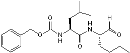 Calpain and cathepsin L inhibitor
