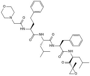 Potent irreversible proteasome inhibitor; active in vivo