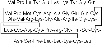 Neuromodulatory neuropeptide fragment; satiety factor