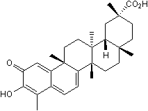 Inhibits TNF-α-induced NF-κB activation