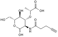 Bacterial peptidoglycan derivative; suitable for 'click'-conjugation to fluorescent dyes