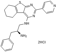 PKCι and PKCζ inhibitor