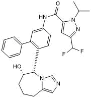 Potent and selective CSN5 (COP9 signalosome) inhibitor
