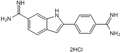 Fluorescent DNA dye; DAPI can be used for cell staining and assessing apoptosis; suitable for flow cytometry; DAPI mw and DAPI ex/em, provided