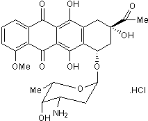 DNA topoisomerase II inhibitor