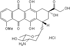 Inhibits DNA synthesis and function. Inhibits DNA topoisomerase II