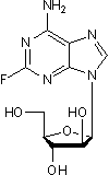 Purine analog; inhibits DNA synthesis