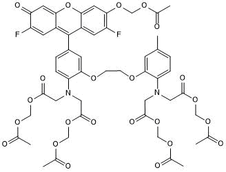 Cell-permeable, fluorescent Ca2+ indicator