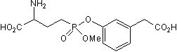 Inhibitor of γ-glutamyl transpeptidase (GGT)