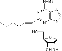 High affinity selective A3 agonist