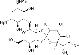 Aminoglycoside antibiotic; active against prokaryotic and eukaryotic cells