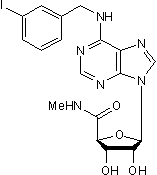 A3 selective agonist