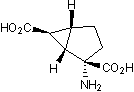 Potent and highly selective group II mGlu agonist