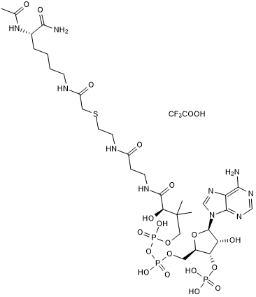 Selective p300 inhibitor