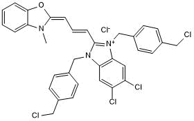 Green fluorescent mitochondrial stain; cell permeable