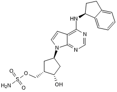 Potent and selective NEDD8 activating enzyme (NAE) inhibitor; cell permeable