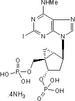 Highly potent and selective P2Y1 antagonist