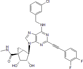 High affinity and selective A3 agonist