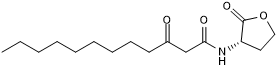 Bacterial quorum sensing autoinducer; immunomodulator