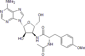 Downregulates SnoN and Ski protein expression; promotes TGF-β signaling