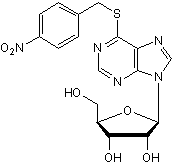 Equilibrative nucleoside transporter 1 (ENT1) inhibitor