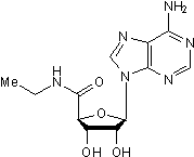 High affinity adenosine agonist