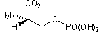 Group III mGlu agonist