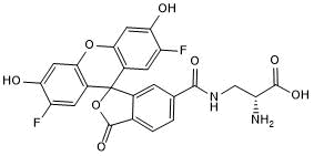 Green fluorescent D-amino acid; compatible with STED microscopy