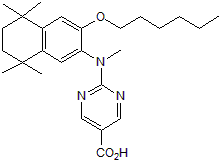 RXR antagonist