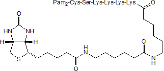 Biotinylated Pam2CSK4 (Cat. No. 4637)