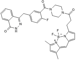 Potent fluorescent PARP inhibitor; cell permeable